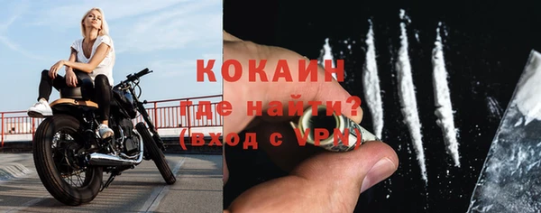 дживик Магас