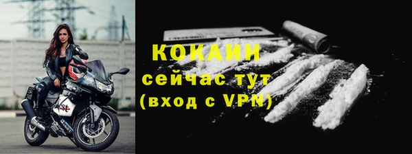 дживик Магас