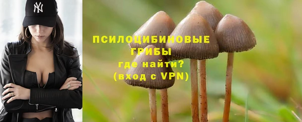 крисы Магадан