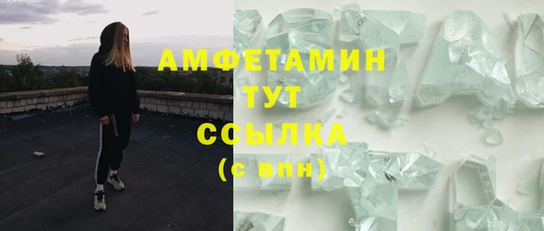 крисы Магадан