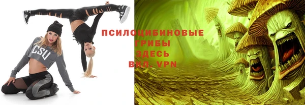 дживик Магас
